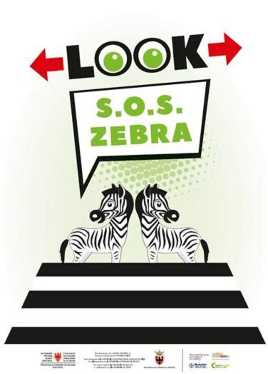 S.O.S. Zebra